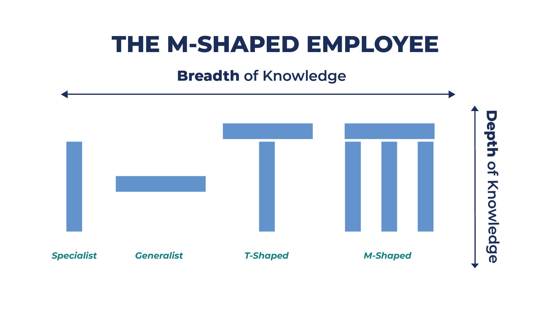 M-Shaped Employee Model showing breadth and depth of knowledge