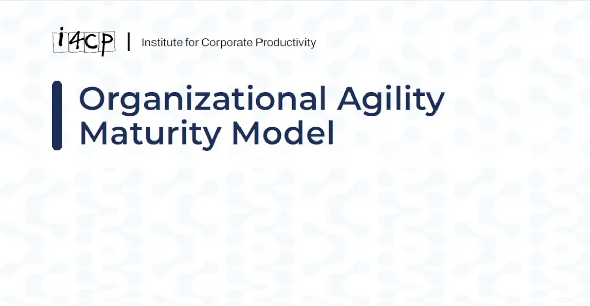 Organizational Agility Maturity Model hero